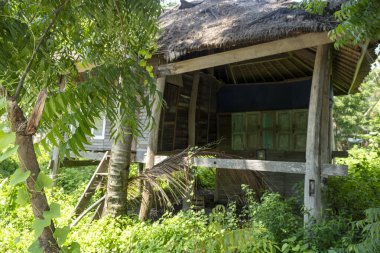 Önünde sazdan bir çatı ve palmiye ağacı olan küçük bir kulübe. Kulübe bir sürü yeşillikle çevrili ve terk edilmiş.