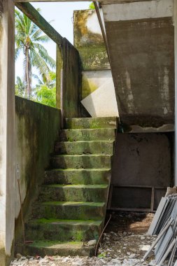 Merdivenler yosunla kaplı ve bina eski ve terk edilmiş. Manzara ürkütücü ve ıssız.