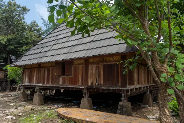 Sazdan çatılı küçük bir ev tarlada duruyor. Ev ağaçlarla çevrili ve ahşap bir zemini var.