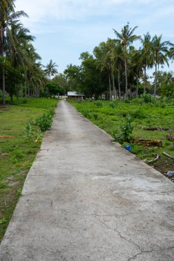 Arka planda palmiye ağaçları olan bir tarlada yol. Yol betondan yapılmış ve boş.