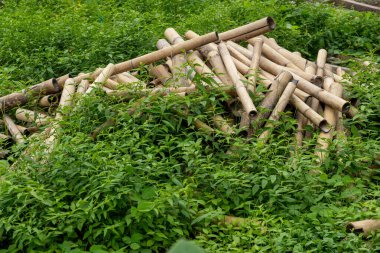 Bambu çubukları ve dallar yığını yere saçıldı. Sahne yeşil bitki ve yabani otlarla kaplanmış.