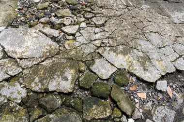 Üzerinde yosun büyüyen çatlamış beton yüzey. Çatlaklar derin ve geniştir ve yüzey pürüzlüdür. Sahne çürüme ve ihmalkarlıktır.