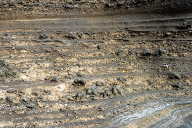 Rocky, birkaç kayanın etrafa saçıldığı çamurla kaplı bir bölge. Görüntü oldukça ıssız ve çorak, üç boyutlu doku ve materyal için harika..