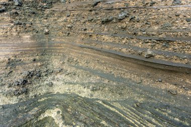 Rocky, birkaç kayanın etrafa saçıldığı çamurla kaplı bir bölge. Görüntü oldukça ıssız ve çorak, üç boyutlu doku ve materyal için harika..