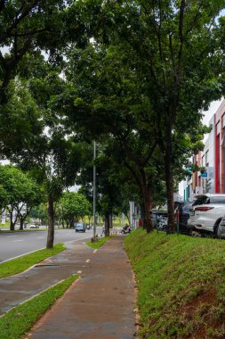 Jakarta, Endonezya - 30 Ocak 2025: Yoğun bir kentsel yolun kenarında, park edilmiş arabaların ve yeşil manzaraların bulunduğu huzurlu bir kaldırım, ferahlatıcı bir şehir manzarası yaratıyor..