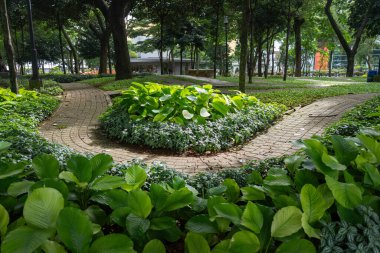 Parktaki patika yeşil bitkiler ve ağaçlarla çevrilidir. Yol kıvrımlı ve taştan bir sınırı var.