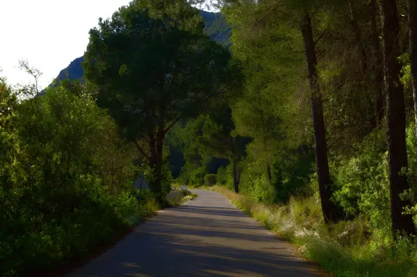İki dağ arasında yol