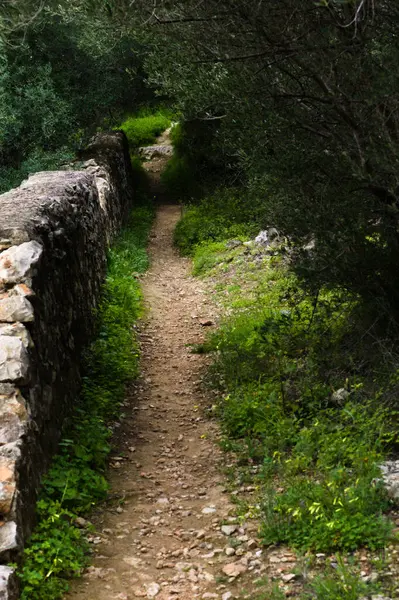 Dağın etrafındaki patika