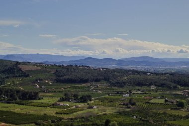 Arka planda tepeler ve tepeler olan bir vadideki üzüm bağlarının manzarası