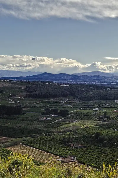 Yazın kırsal alanda güzel bir manzara.