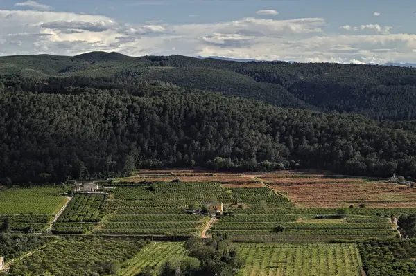 Dağların güzel manzarası