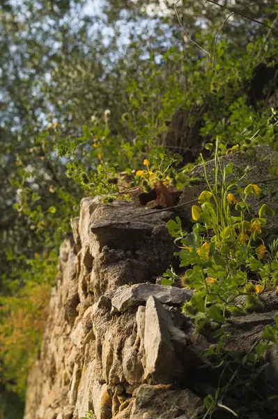 eski taş duvar arkaplanı
