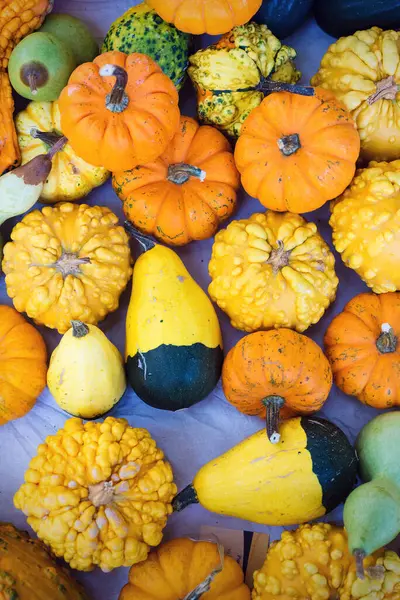 Bir masanın üzerindeki kabak bileşimi