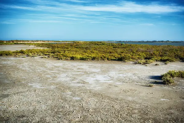Gökyüzünün altındaki kuru Camargue manzarası
