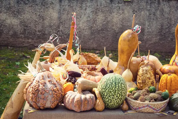 Bir masanın üzerindeki kabak bileşimi