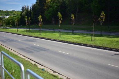 Boş bir kasabanın ortasında yeşil çimleri ve küçük çalıları olan dört şeritli bir sokak. Uzaktaki evler.