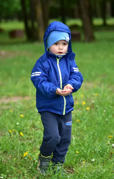 Küçük çocuk soğuk bir günde şehir parkında yürüyor. Küçük çocuk elinde ailesi için bir şey gösterecek..