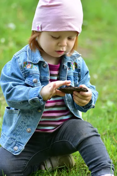Gri kotlu küçük bir kız çimenlerde oturuyor ve ılık baharda parkta ağaç kabuğu tutuyor. Küçük kız parkta doğayı keşfediyor..