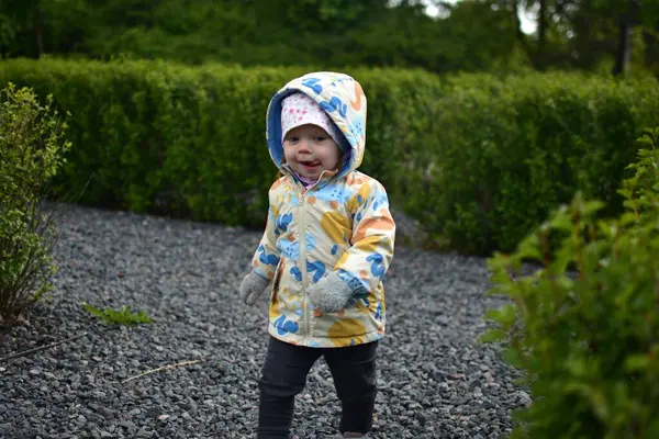 Dili açık, ağzı açık, küçük kayalarla dolu bir parkta yürüyen küçük bir kız. Komik taklitleri olan küçük kız halk parkına gidiyor..