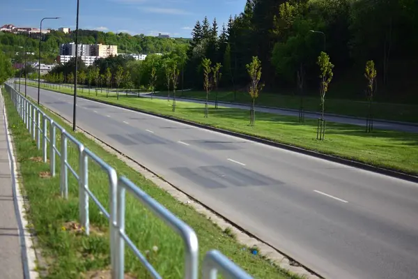 Boş bir kasabanın ortasında yeşil çimleri ve küçük çalıları olan dört şeritli bir sokak. Uzaktaki evler.