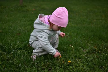 Naneli, yumuşak kabuklu bebek baharda çimlerin üzerinde devedikenine dokunuyor. Dışarıda bitkileri gözetleyen küçük bir kız..