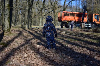 Küçük çocuk parktan budanmış ağaç dallarını toplayan servis kamyonuna bakıyor. Oğlan kesilen dalların kamyon tarafından alınışını izliyor. Kentsel ağaçların yıllık olarak budanması.