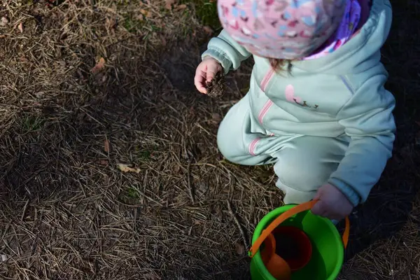Küçük kız elinde yeşil plastik bir kovayla ormanda kozalak topluyor.