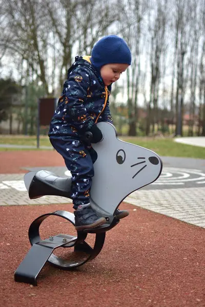 Küçük çocuk baharda çocuk parkında fare salıncağında oturuyor. Çocuk parkta sallanırken eğleniyor..