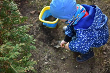 Mavi, yumuşak kabuklu mayolu çocuk baharda güneşli bir günde bahçedeki bir kovaya çukur kazıyor..