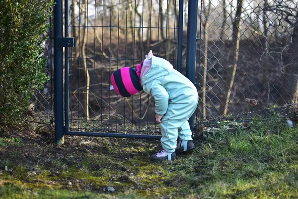 Metal tel çitlerin yanında duran küçük kız baharda zemini arıyor. İlkbaharda çitin yanında küçük bir kız..