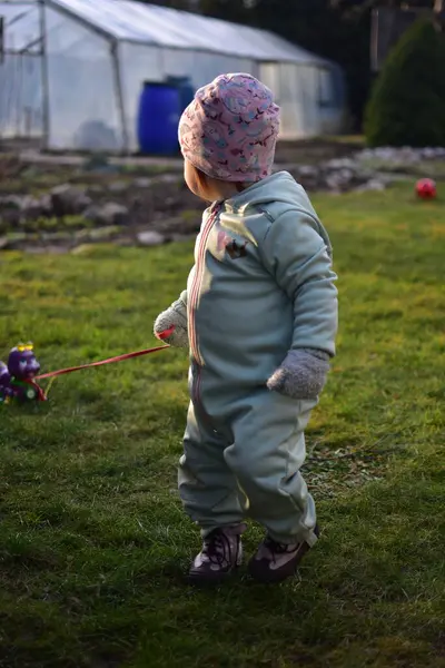 Naneli, yumuşak kabuklu bir beden giyen küçük kız baharda güneşli bir günde arka bahçede oyuncak kırkayakla oynuyor. Küçük kız dışarıda oyuncak böcekle yürüyor..