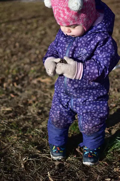Soğuk sonbaharda şehir parkındaki çocuk parkında çam kozalağı tutan bebek. Küçük kız kışın halk parkında eğleniyor.