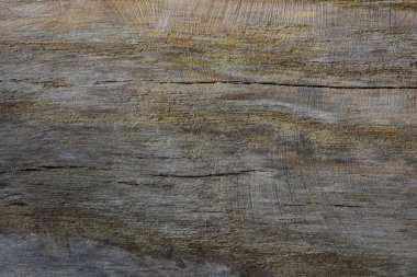 Eski açık kahverengi, eski püskü, çürük ahşap tahta çatallar ve oyuklar dokusu yakın plan.