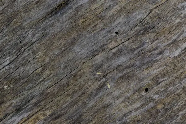 Eski açık kahverengi, eski püskü, çürük ahşap tahta çatallar ve oyuklar dokusu yakın plan.
