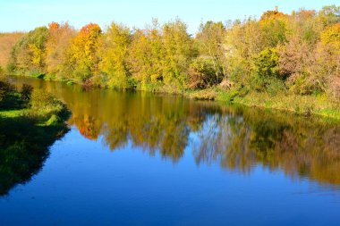Yanlarında çalılar olan durgun nehir suyu ve sonbahar güneşli bir günde suya yansıyan yansımalar.