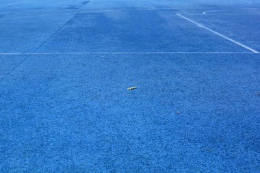 Beyaz çizgili mavi spor alanı