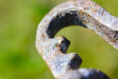Eski paslı metal sapı Makro çekim için antika ekipmanlar