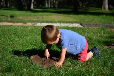 Küçük çocuk güneşli bir yaz gününde parkta toprak kazıp oynuyor. Çocuk dışarıda eğleniyor..