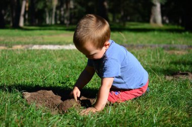 Küçük çocuk güneşli bir yaz gününde parkta toprak kazıp oynuyor. Çocuk dışarıda eğleniyor..