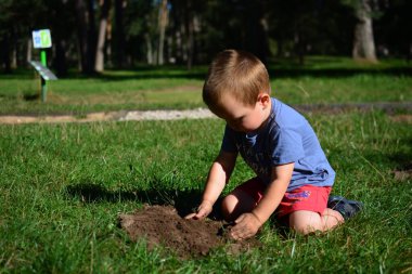 Küçük çocuk güneşli bir yaz gününde parkta toprak kazıp oynuyor. Çocuk dışarıda eğleniyor..