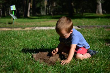 Küçük çocuk güneşli bir yaz gününde parkta toprak kazıp oynuyor. Çocuk dışarıda eğleniyor..