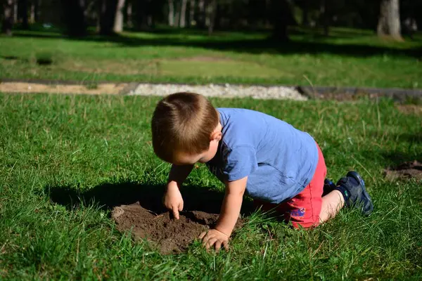 Küçük çocuk güneşli bir yaz gününde parkta toprak kazıp oynuyor. Çocuk dışarıda eğleniyor..