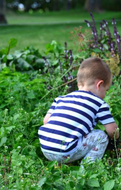 Küçük bir çocuk bahçe yatağında sebze topluyor. Çocuk kırsalda vakit geçiriyor..