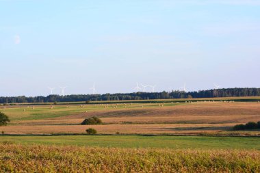 Uzakta rüzgar türbinleri olan kırsal düzlükler