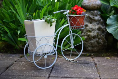 Beyaz ve kahverengi saksıları olan bisiklet şeklindeki saksı tutacağı. Bahçe dekorasyonu çiçek bisikleti.