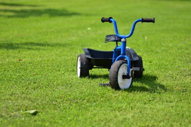 Bagajlı mavi üç tekerlekli bisiklet. Üç tekerlekli bisiklet, kırsal kesimdeki çimlerin üzerinde. Kimse yok.