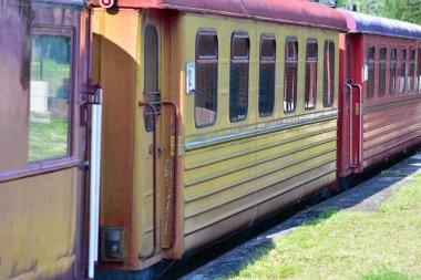 Aşırı büyümüş, çimenli bir istasyonda paslı raylarda duran eski renkli tren vagonları. Unutulmuş demiryolu sahnesi nostalji, çürüme ve tarihi çağrıştırıyor. Terk edilme ve vintage taşıma kavramı.