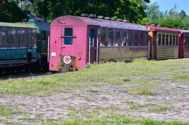 Aşırı büyümüş, çimenli bir istasyonda paslı raylarda duran eski renkli tren vagonları. Unutulmuş demiryolu sahnesi nostalji, çürüme ve tarihi çağrıştırıyor. Terk edilme ve vintage taşıma kavramı.