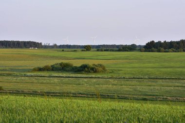 Ufukta zar zor görünen rüzgar türbinleri olan geniş yeşil alanlar. Uzak ağaçlar ve çalılar kırsal alanı çerçeveliyor. Temiz enerji, doğa ve huzurlu kırsal kesim görüşleri kavramı.