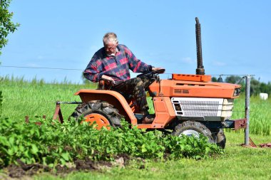 Turuncu traktörde kıdemli çiftçi yemyeşil tarlada mahsul yetiştiriyor. Kırsal bölgede yaz tarım işi. Gelenek, emek ve doğa sahnesi.
